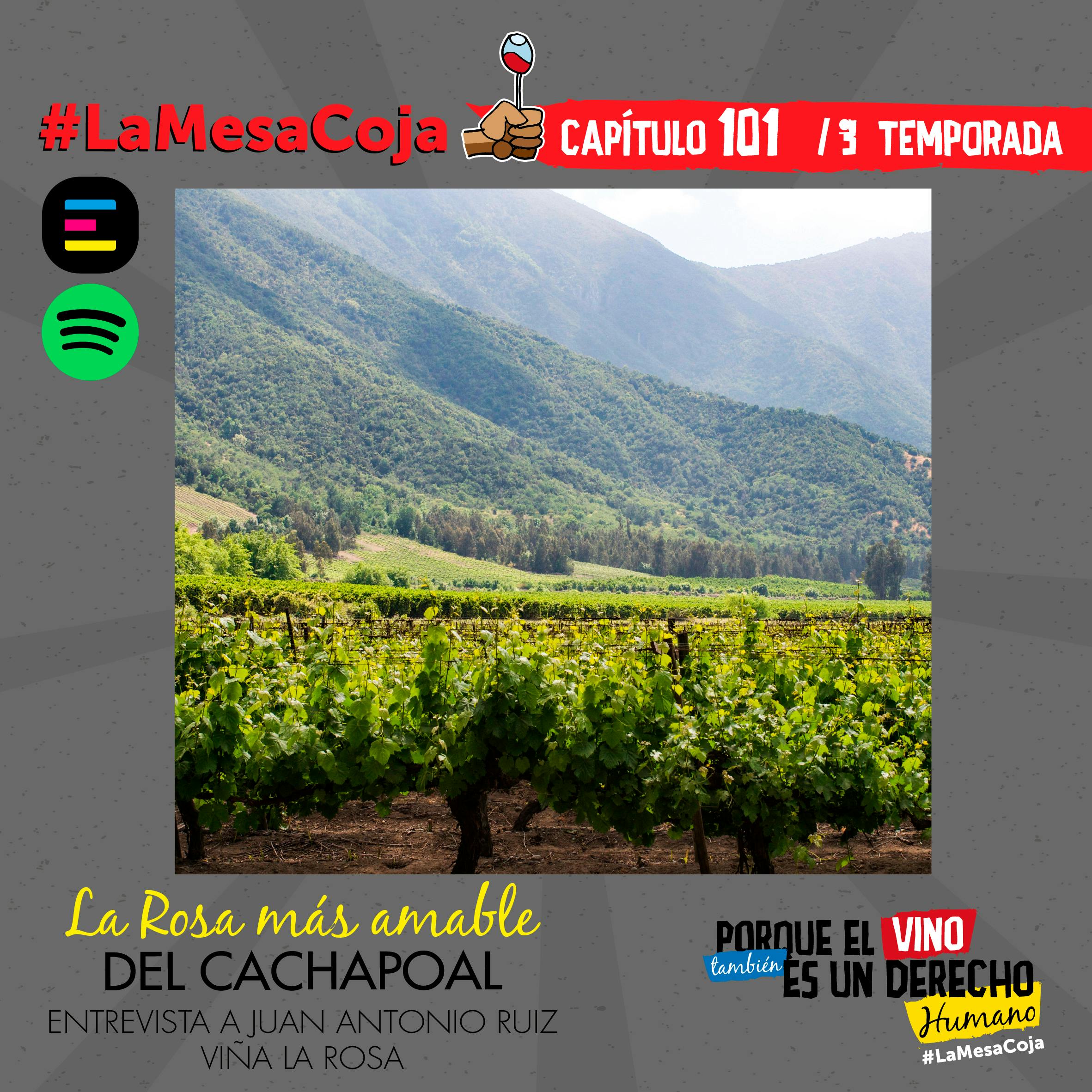 La Rosa Más Amable del Cachapoal