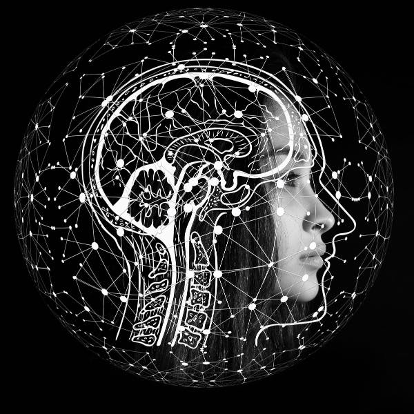 Académico Facultad de Medicina U. de Chile: “La neuroética recoge investigaciones y, en vínculo con la sociedad, permite abordar un debate de forma seria y aterrizada”