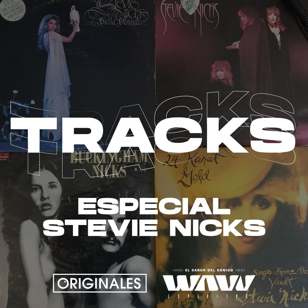 Especial Stevie Nicks