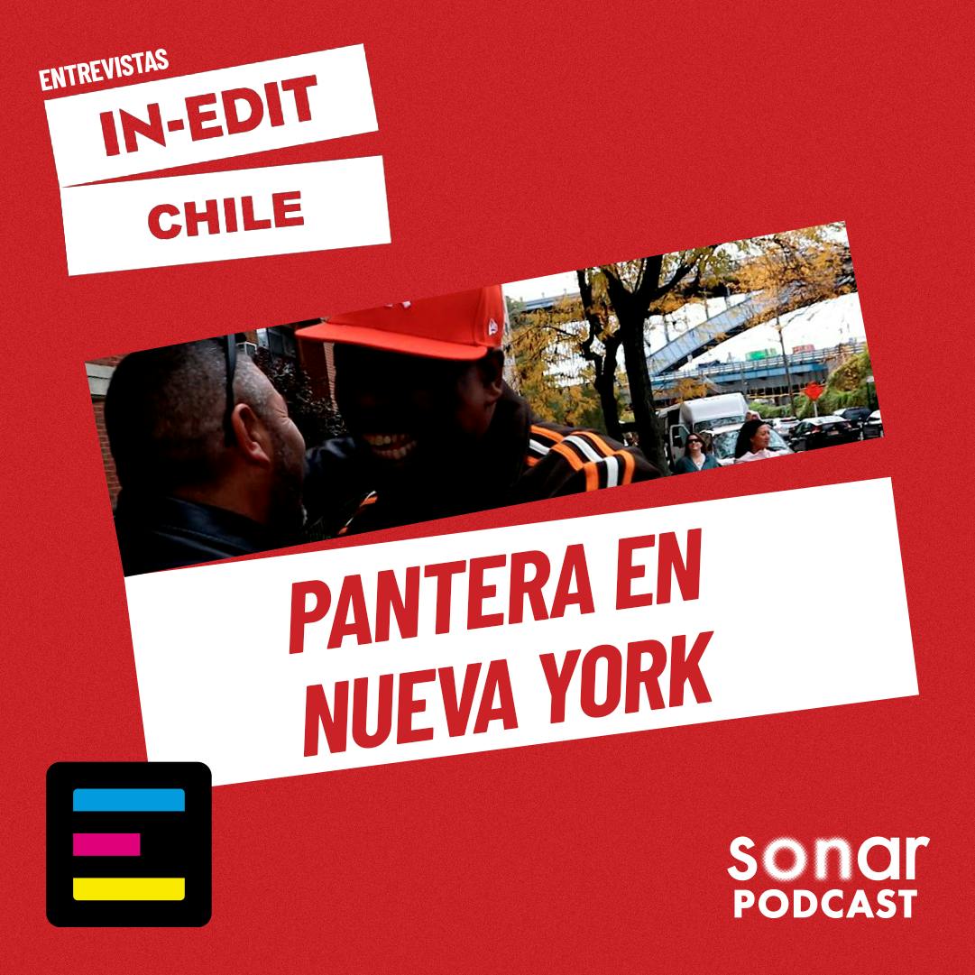Pantera en Nueva York
