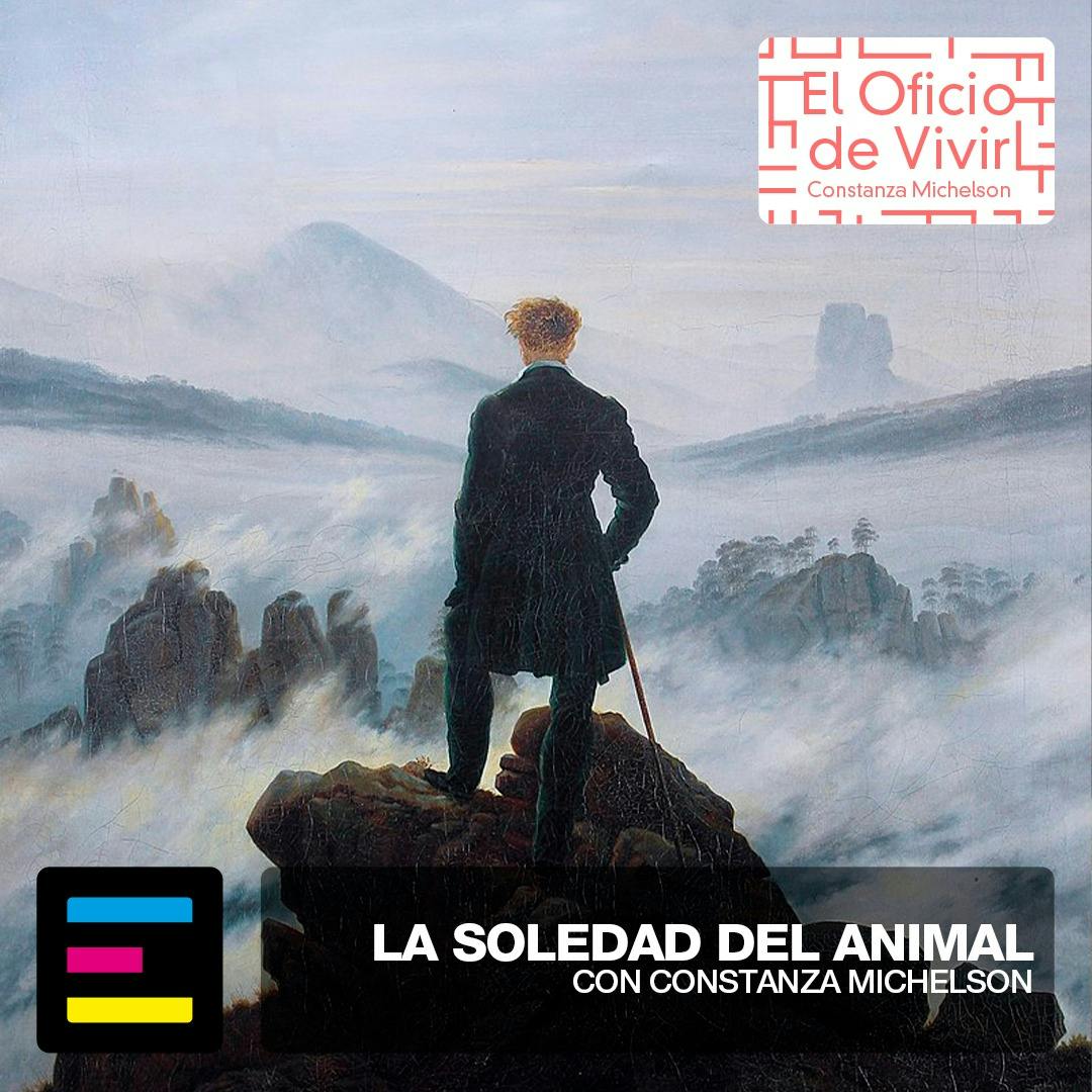 La Soledad del Animal