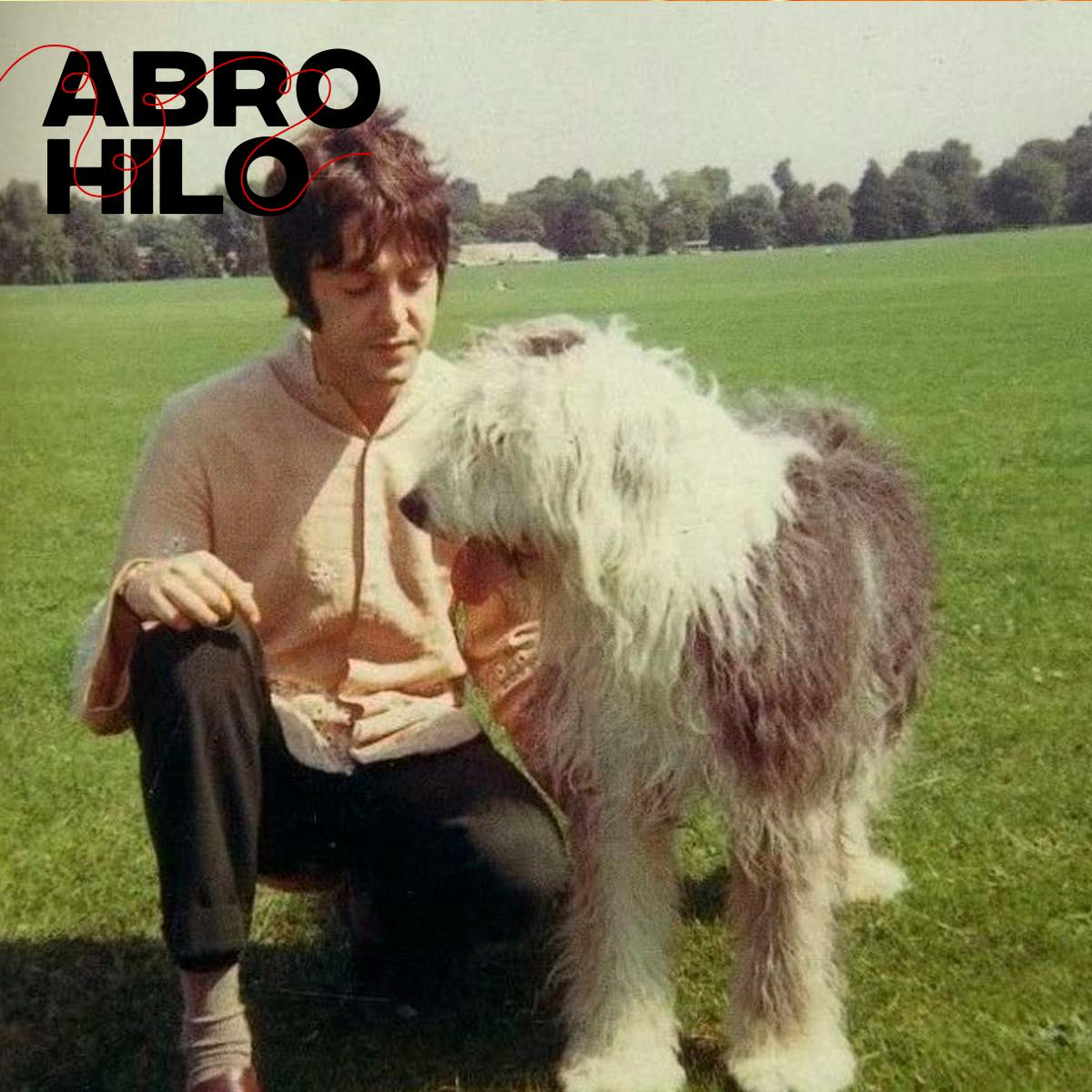 Canciones con buenas pulgas