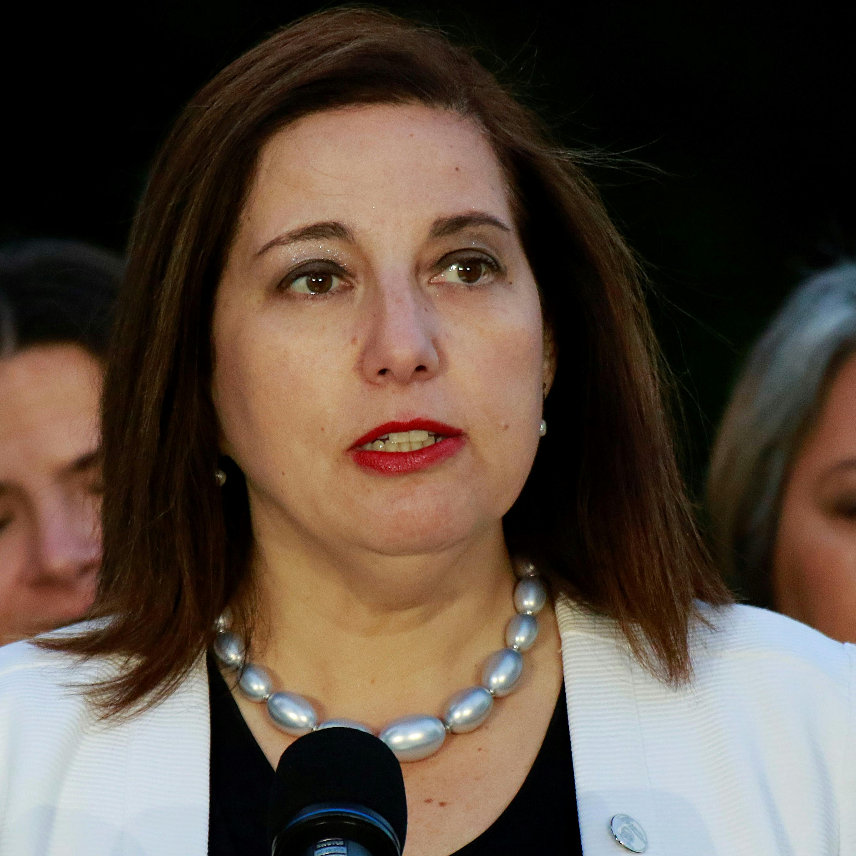 Presidenta PS y conformación de la Comisión Experta: No queremos que sean lobbistas disfrazados de expertos