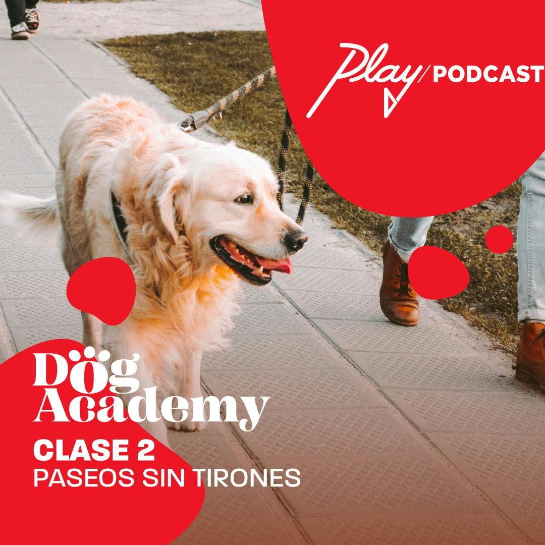 Clase 2: Paseos sin tirones