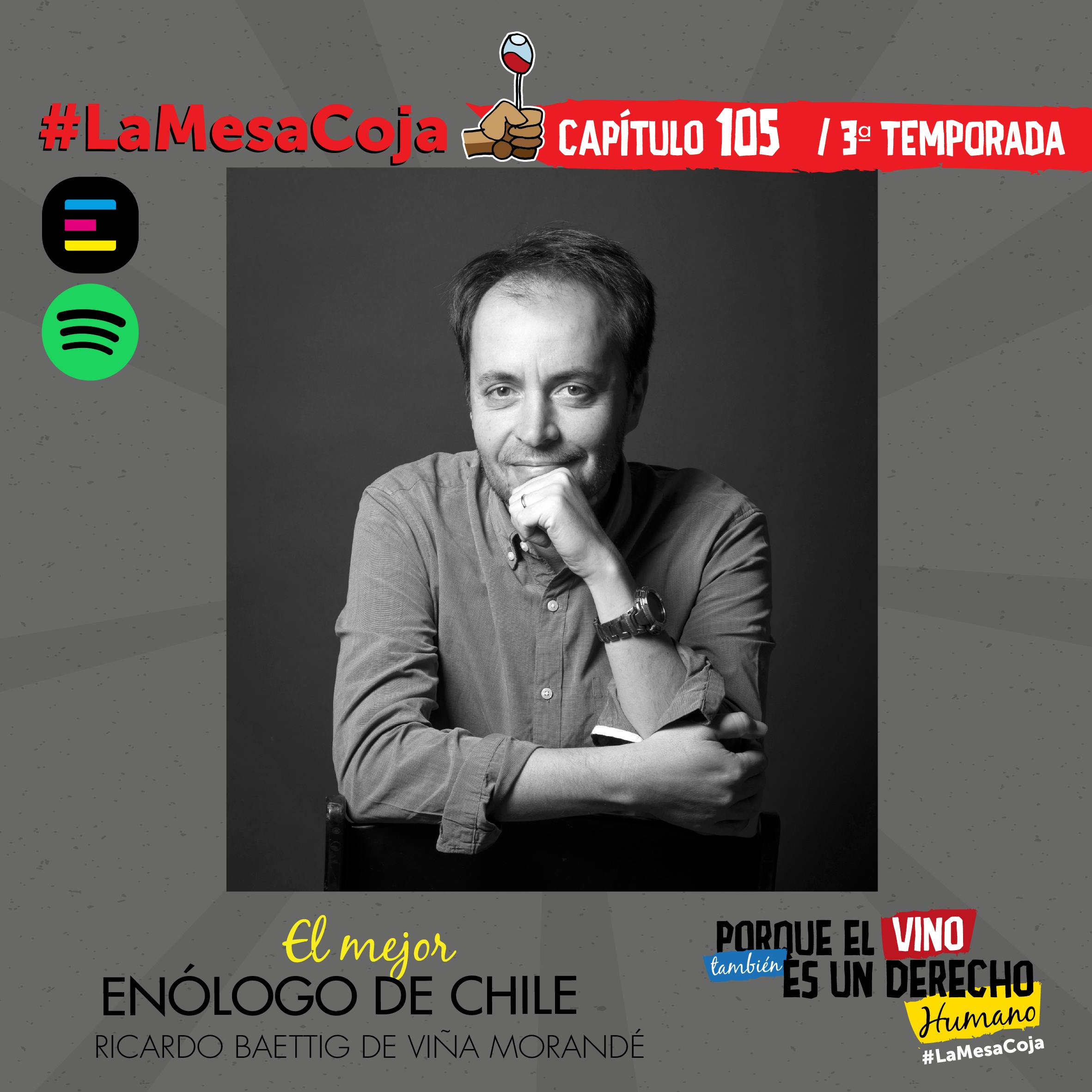 El Mejor Enólogo de Chile
