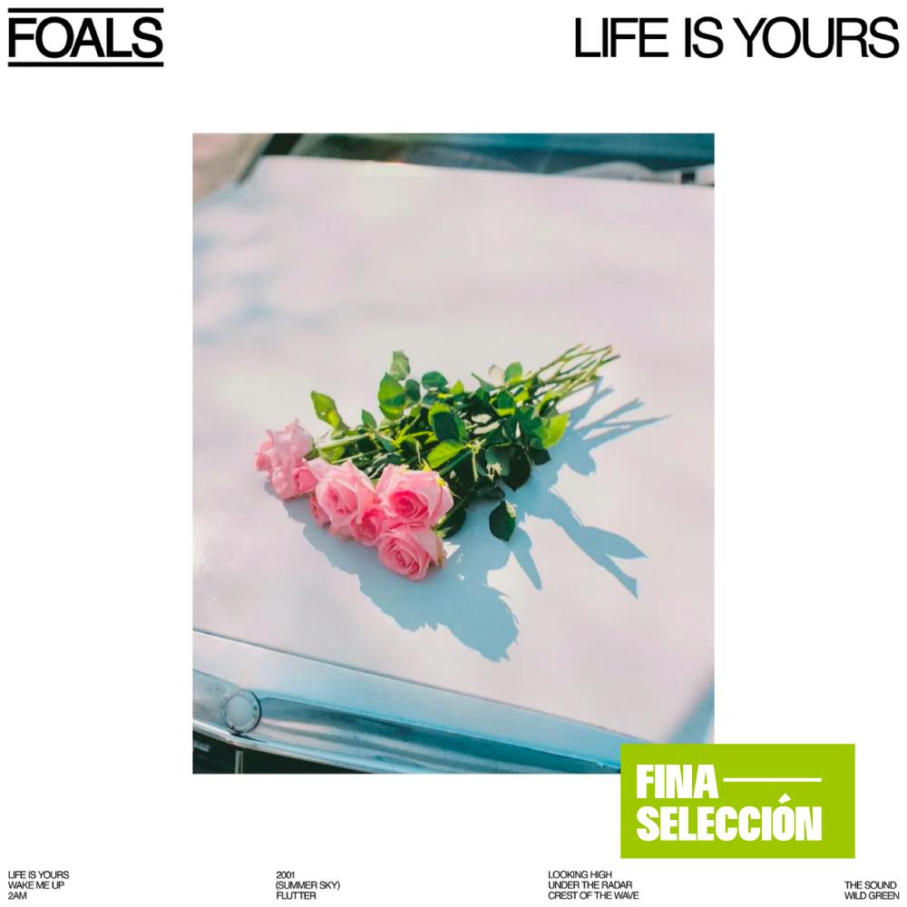 Foals - Life Is Yours