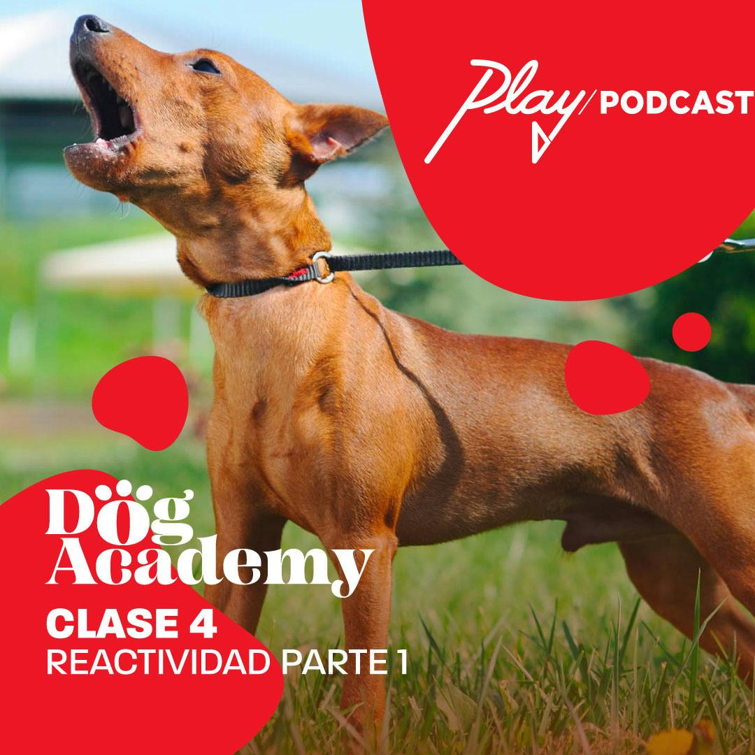 Clase 4: Reactividad, parte I