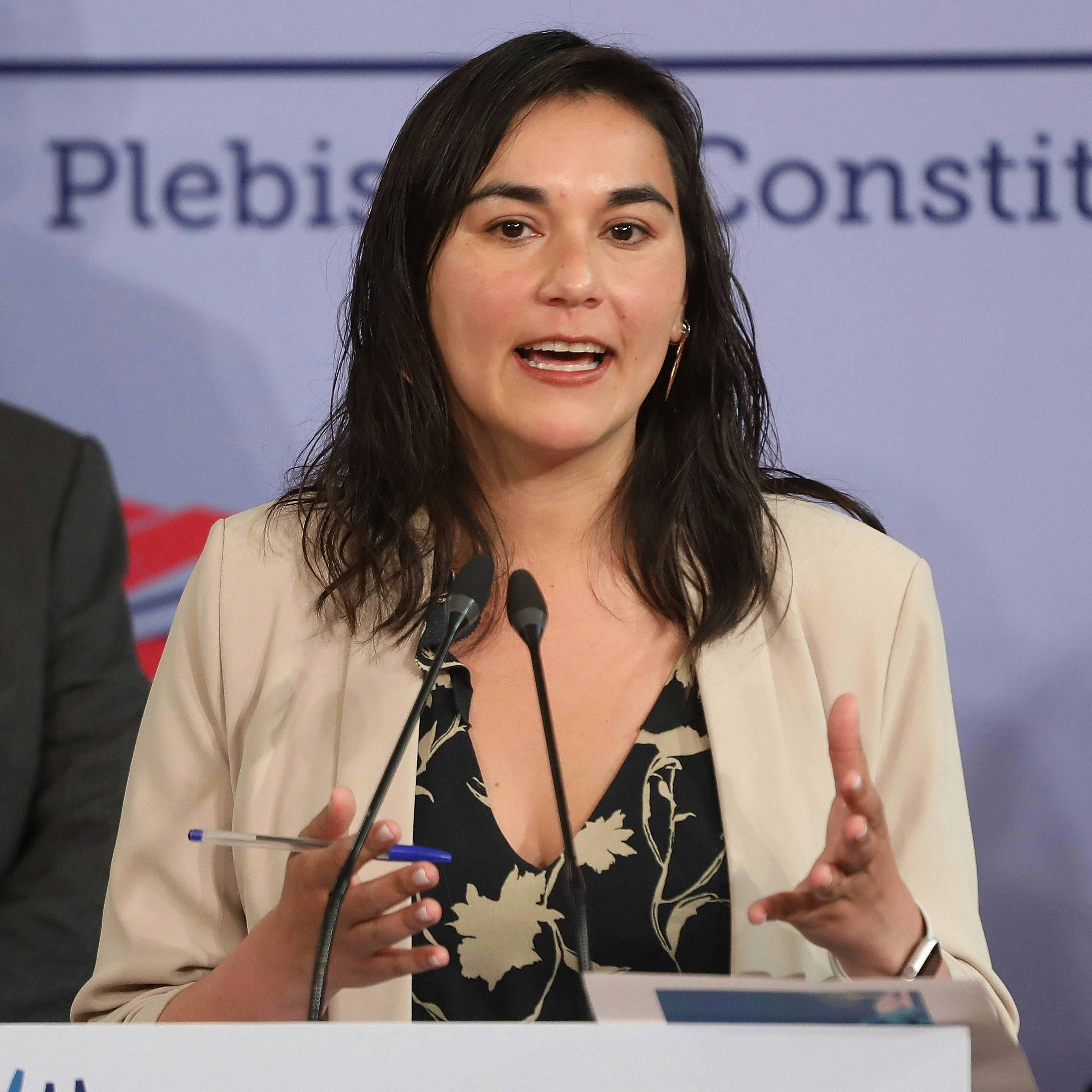 Alberto Mayol y balance del 2022: La herida política que vivió Izkia Siches es muy compleja, esos errores en política te persiguen siempre
