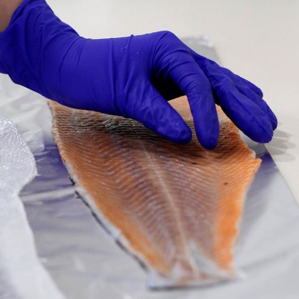 Dr. Enrione por piel de salmón: “Es un material que alimenta, cura, genera piel y permite construir objetos de alta definición que son biológicamente funcionales”