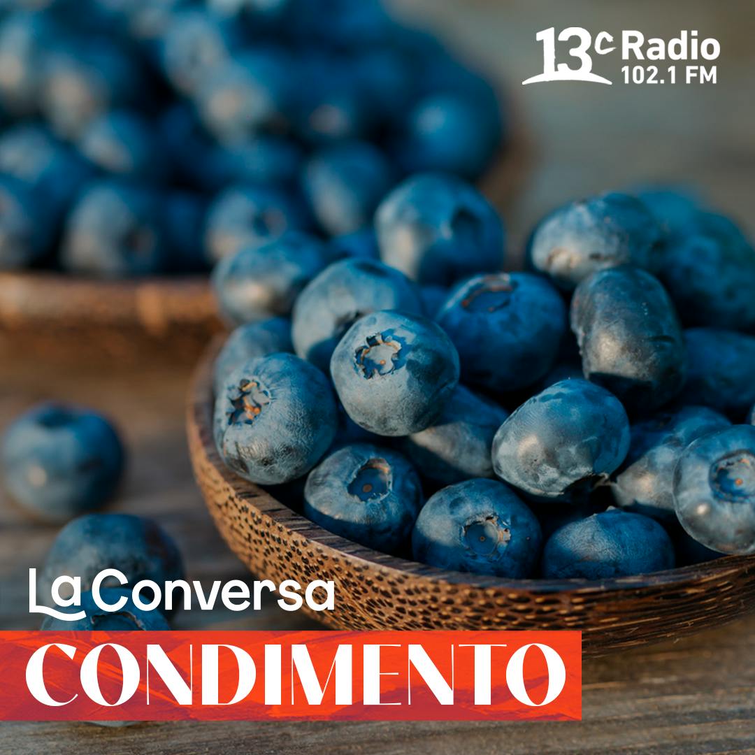 El Condimento | Los arándanos