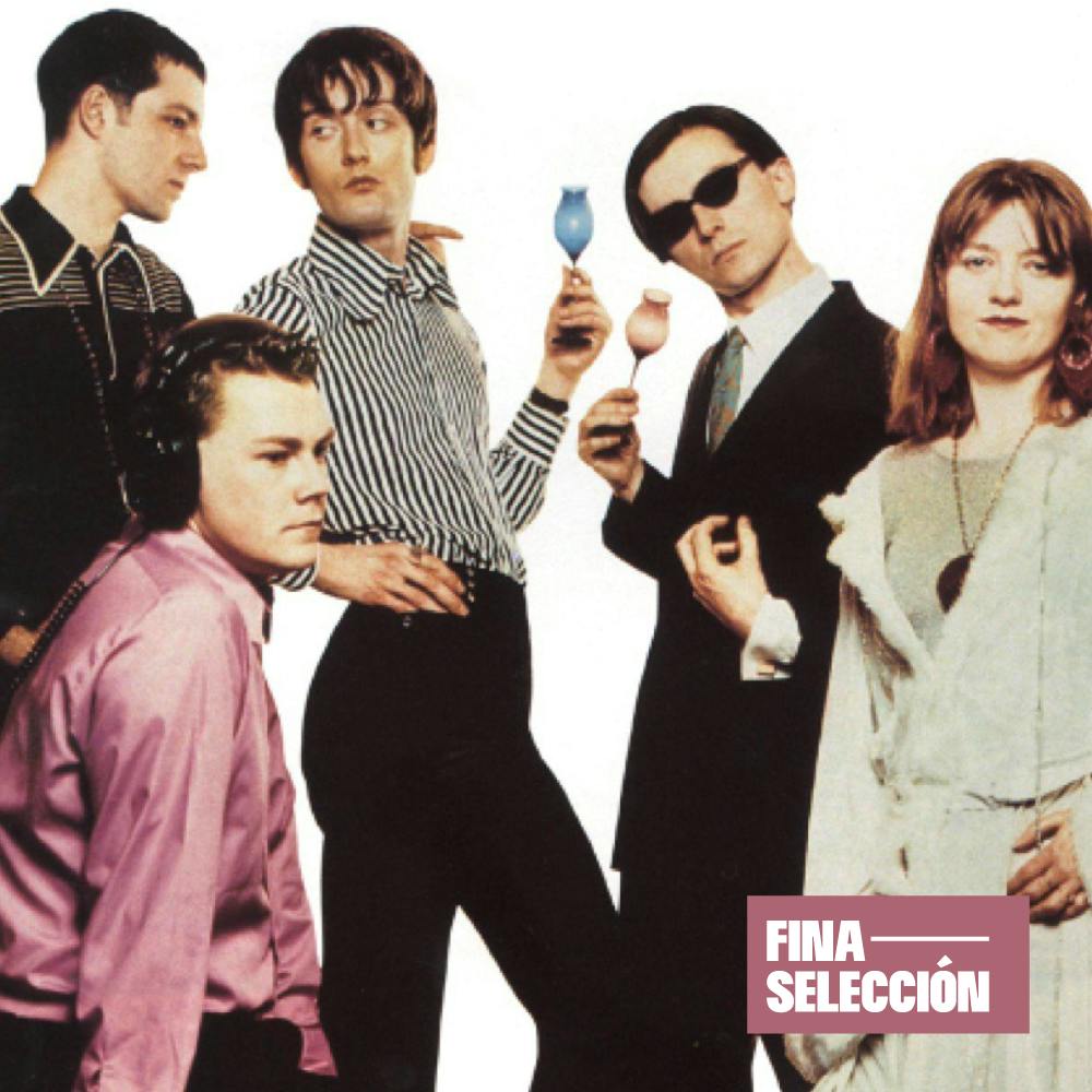 Pulp