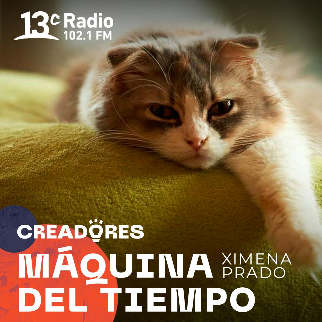 Máquina del Tiempo con Ximena Prado | La importancia de los gatos en la historia