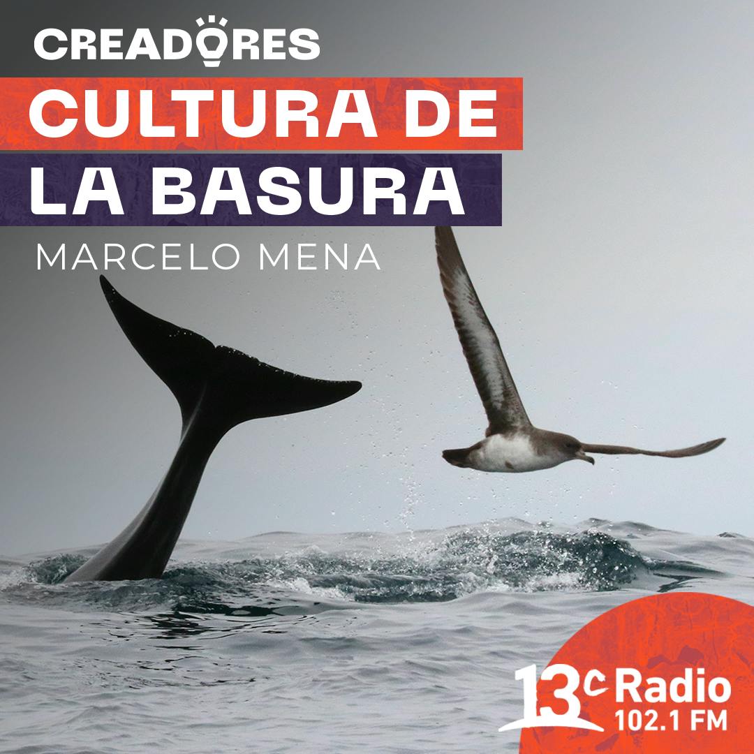 Cultura de la Basura con Marcelo Mena | Comité de ministros rechaza proyecto Dominga ¿Qué significa?