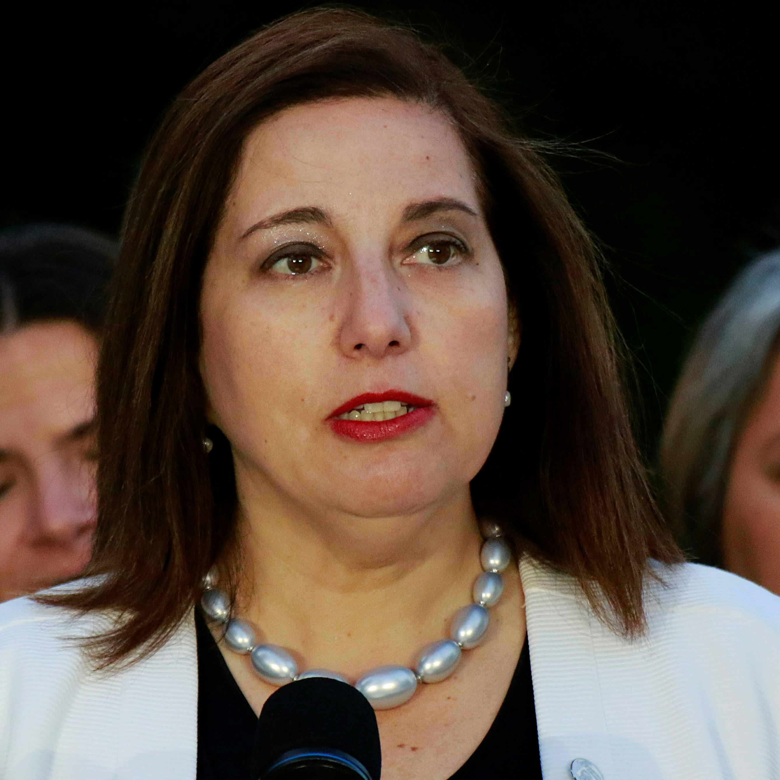 Paulina Vodanovic: Lo electoral tiene que ser secundario a la unidad de propósito de estar en el Gobierno y de tener una buena Constitución