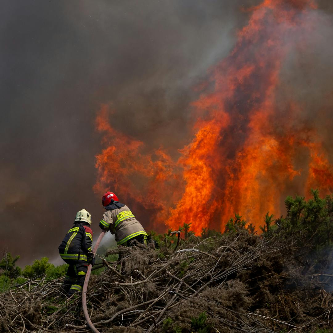 Académico U. de Chile por “FireWatch”: “Es un sistema de detección inteligente operada a distancia que permitiría en 20 km a la redonda identificar algún foco de incendio”
