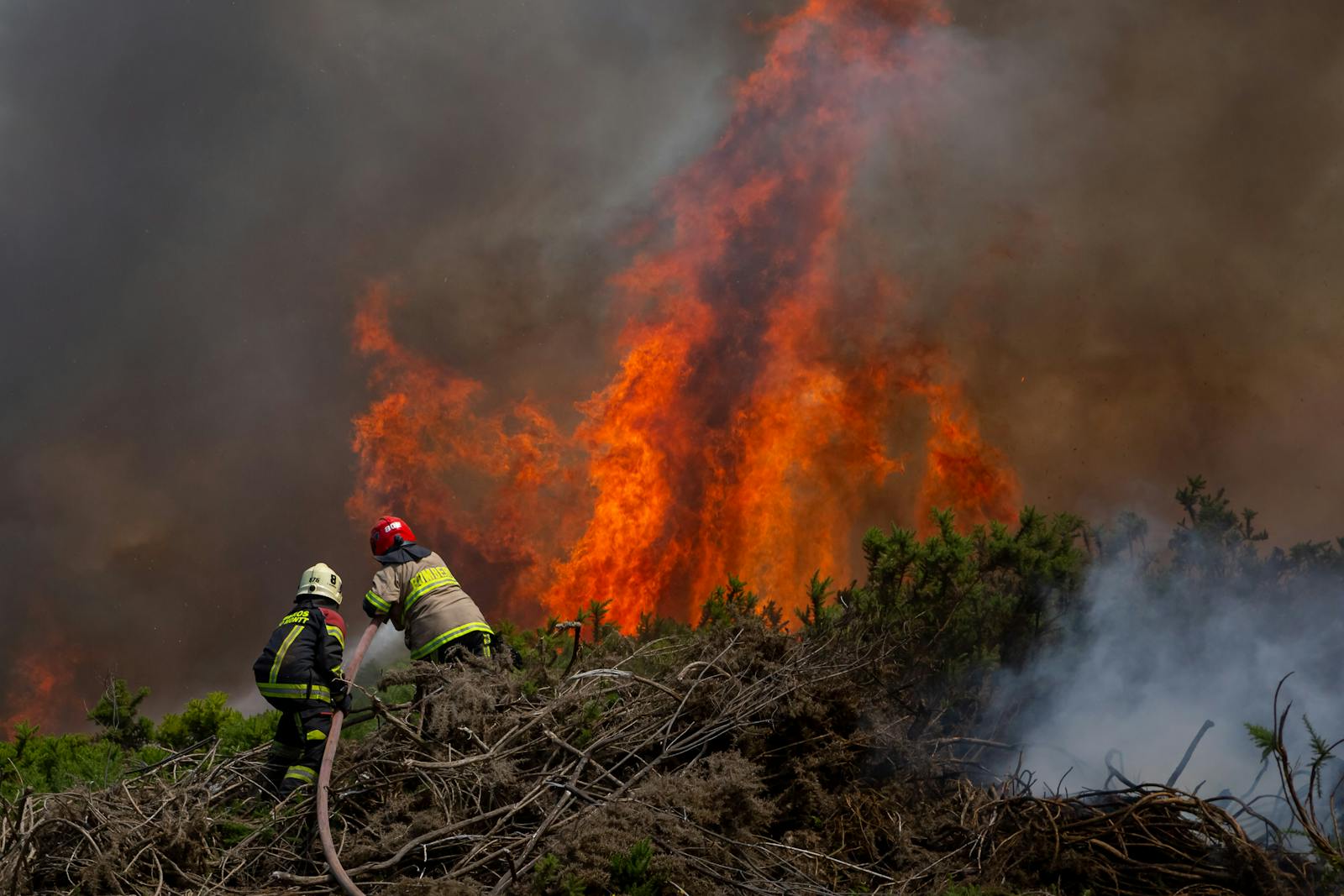 Académico U Chile por primer sistema de detección temprana de incendios: "Busca detectar cuando es un foco y no un incendio" episode artwork
