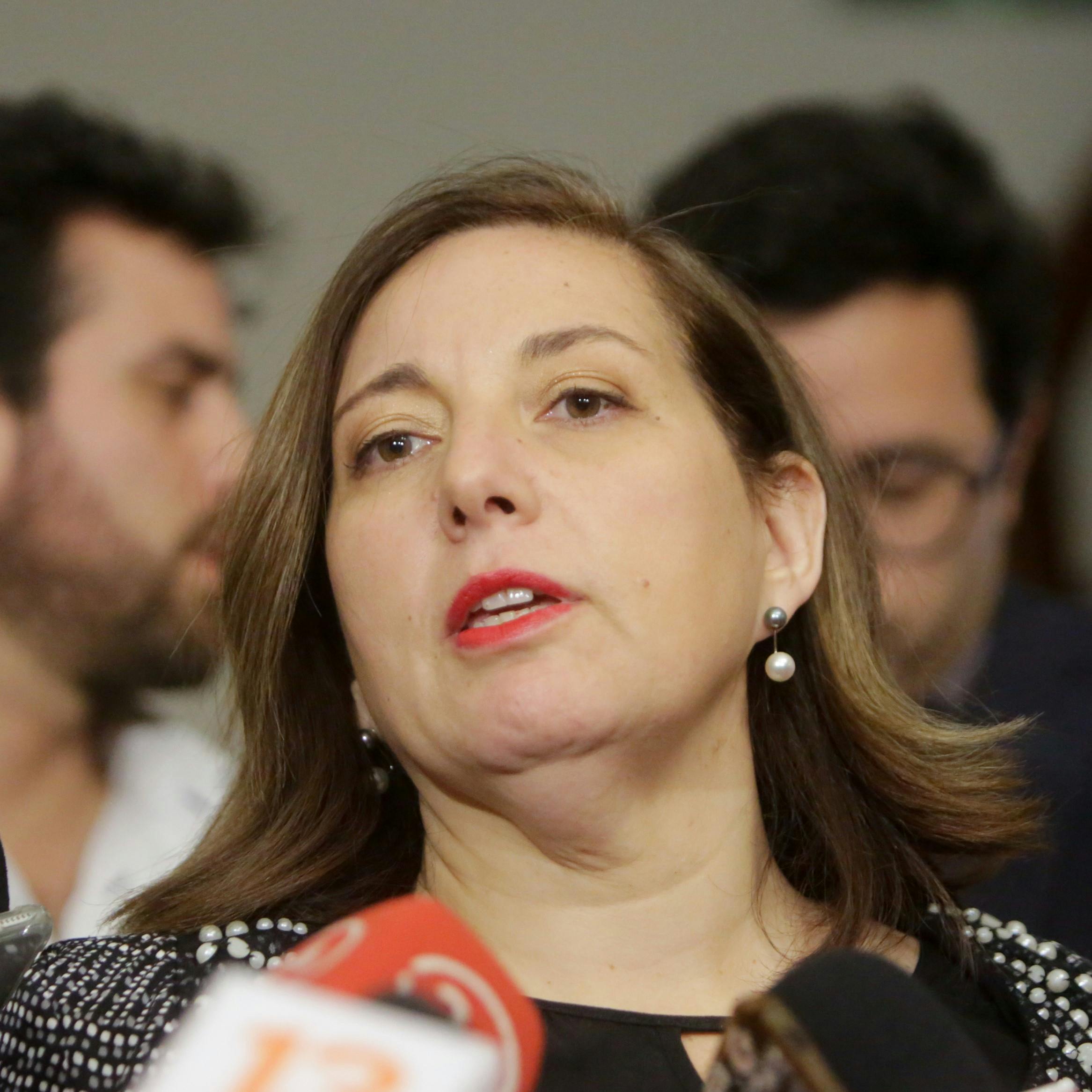 Vodanovic (PS) por lista unitaria: Hay otros partidos del Socialismo Democrático que no han tomado esa opción, que respetamos, pero que no compartimos