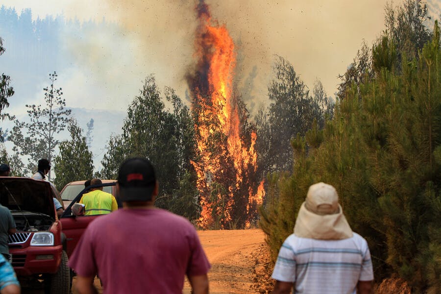 Emiliano Arias y detenidos por incendios: Las circunstancias ameritan que la Fiscalía pida prisión preventiva para todas estas personas