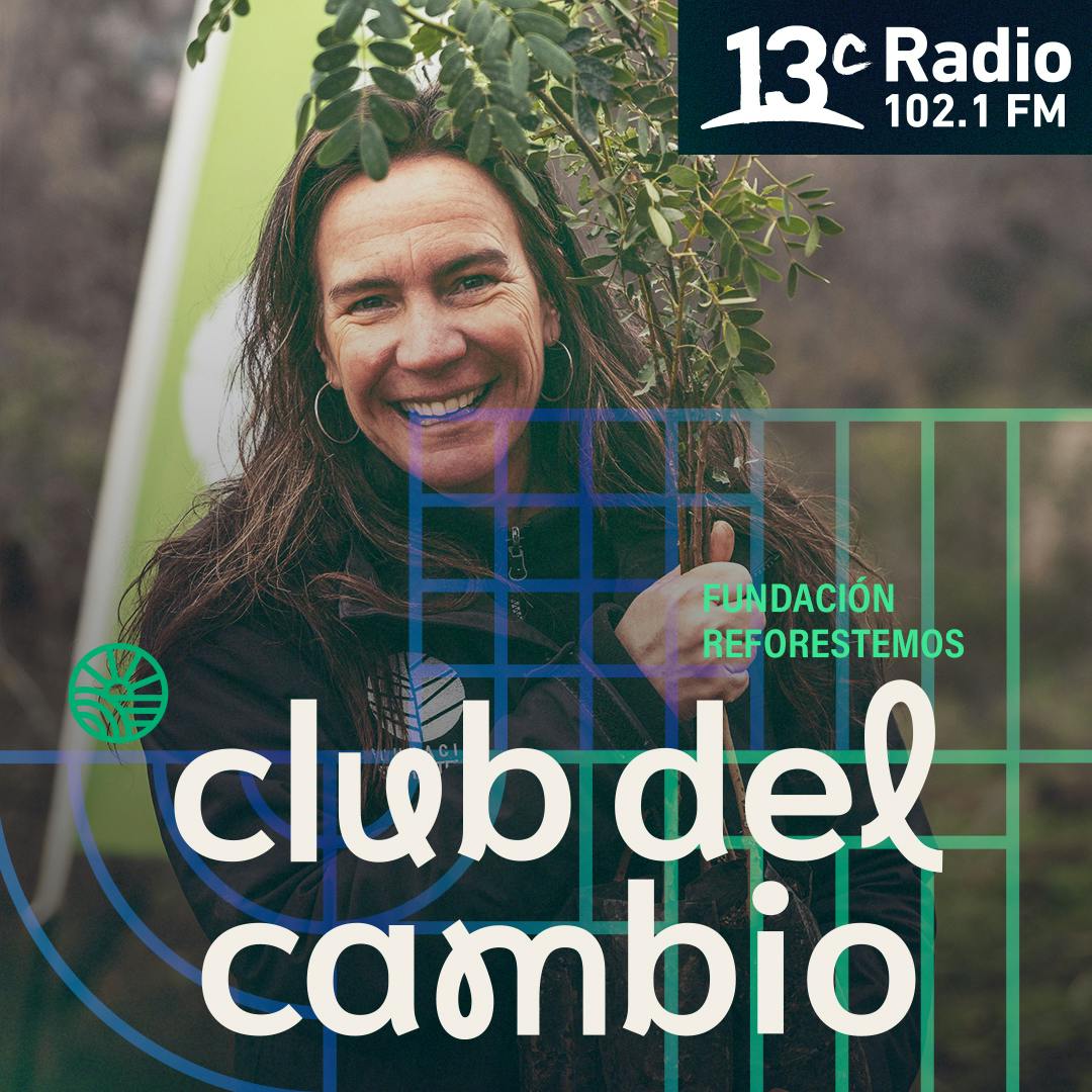 Fundación Reforestemos: Generando redes para la restauración ecológica
