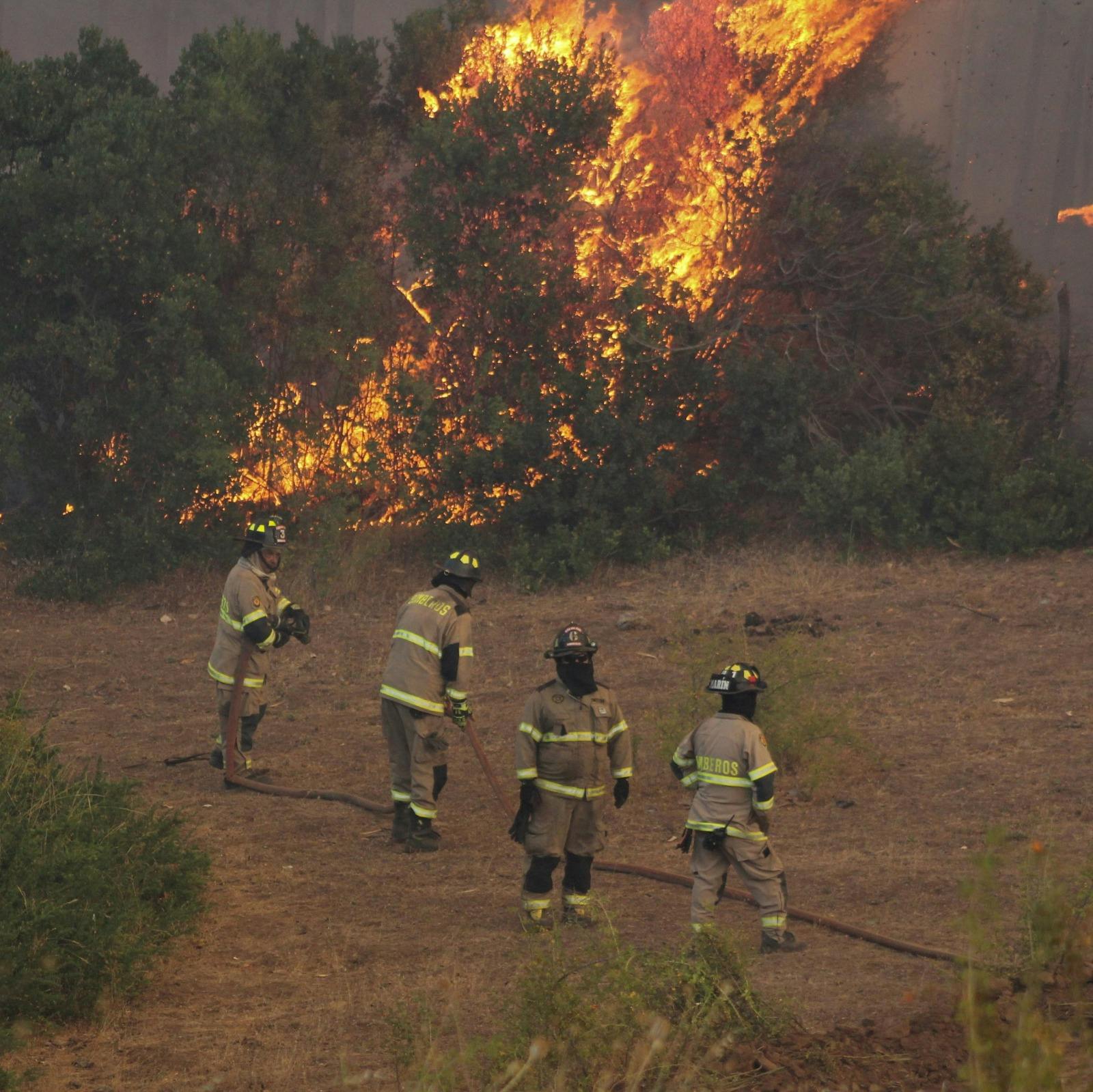 Ministro de Energía: A las familias afectadas por los incendios les vamos a hacer un catastro y se les condonarán las deudas