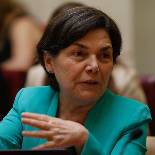Paulina Saball, delegada para la reconstrucción por regularización de la industria forestal: Esto no es un drama