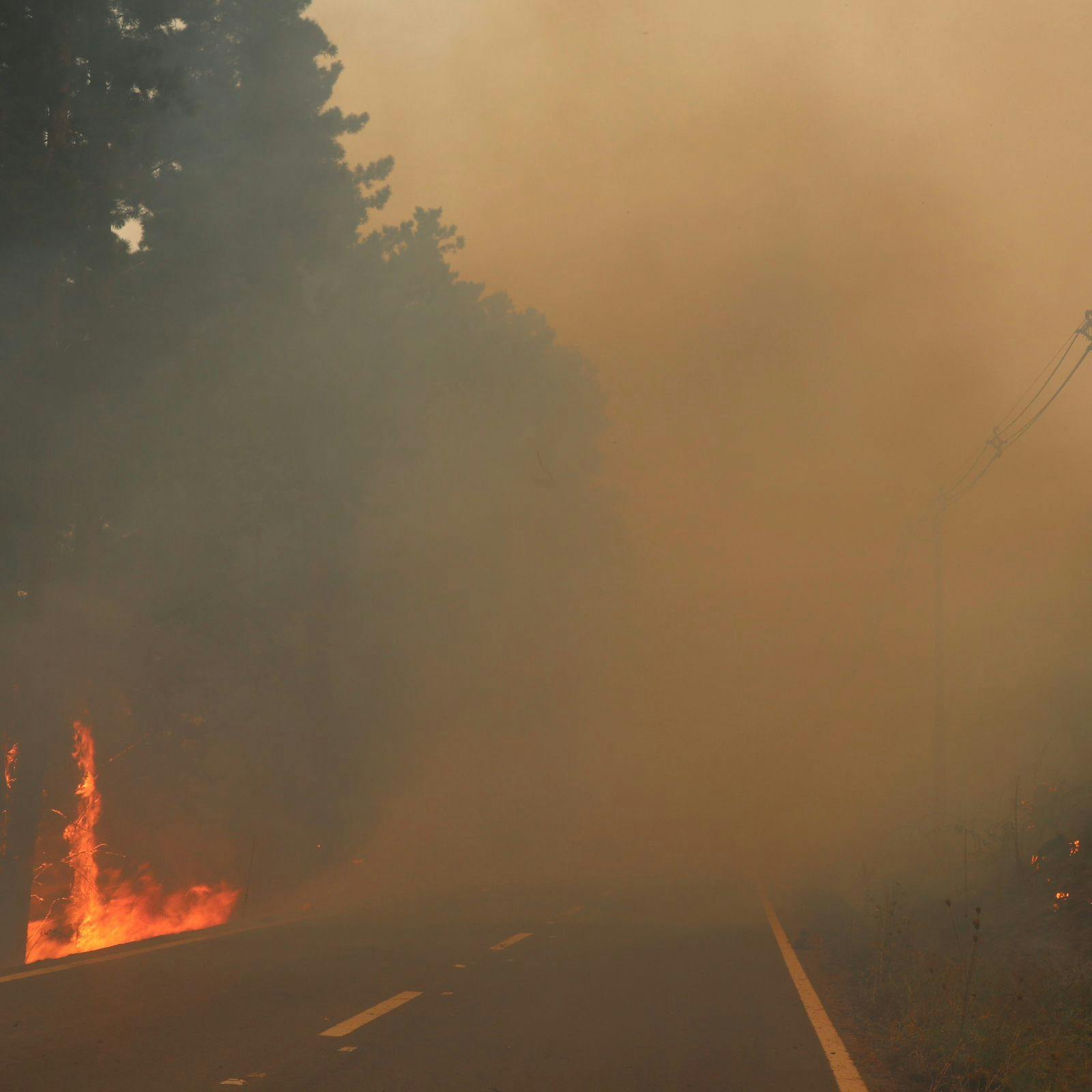 Delegada presidencial del Biobío por reactivación de incendio Santa Ana: “Es una situación en la que se mezclan altas temperaturas, baja humedad y grandes vientos”