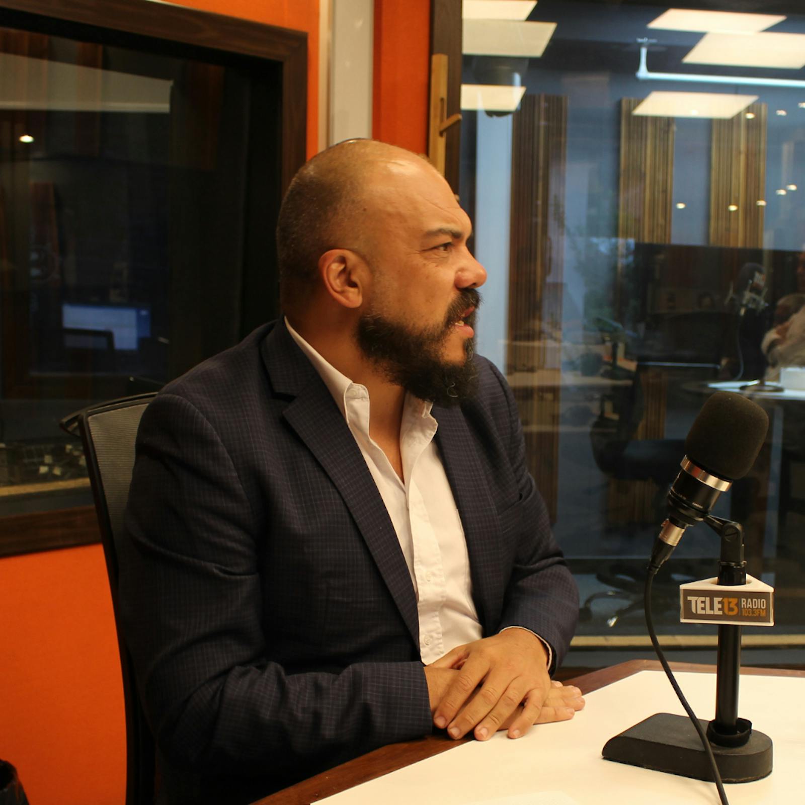 Subsecretario Vergara: "En Chile se ninguneó la sensación de temor" episode artwork