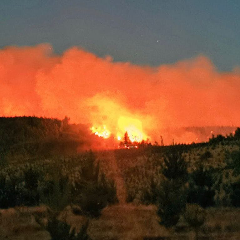 Alcaldesa de Santa Juana: “La industria forestal genera trabajo, pero no podemos cerrarle la puerta a la discusión de la regulación”