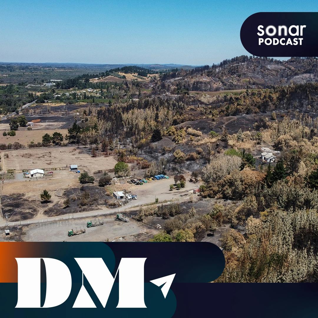 El debate sobre la intencionalidad de los incendios forestales