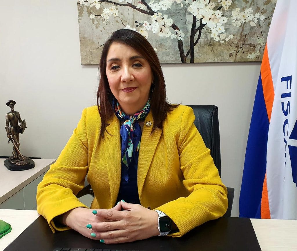 Fiscal de Ñuble: “El origen de los siniestros es cada vez más fácil poder determinar, pero las responsabilidades, y si el incendio fue de manera intencional o no, es un poco más complejo y requiere más tiempo”