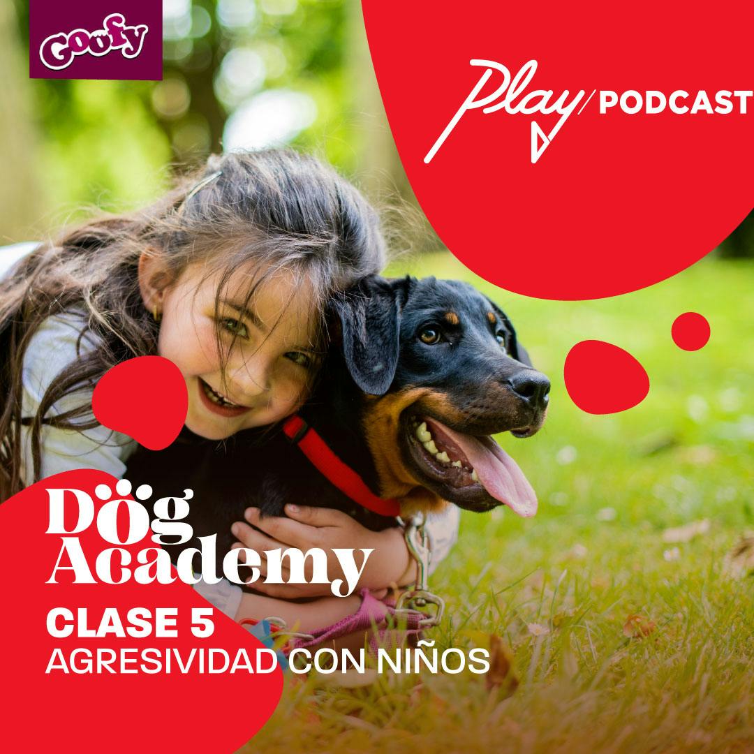 Clase 5: Agresividad con niños