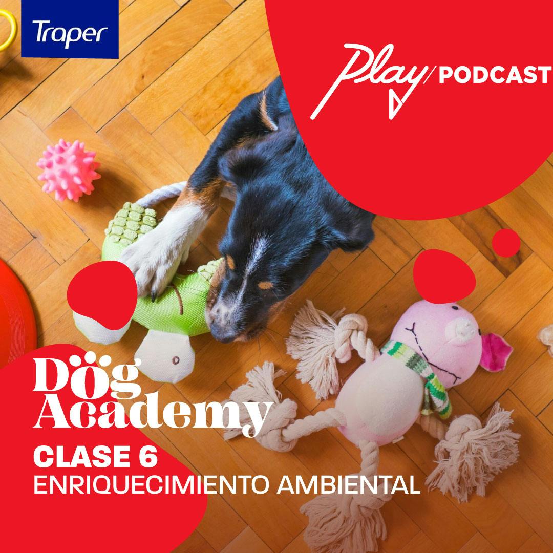 Clase 6: Enriquecimiento ambiental