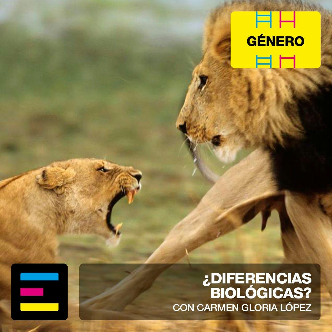 Género: ¿Diferencias Biológicas?