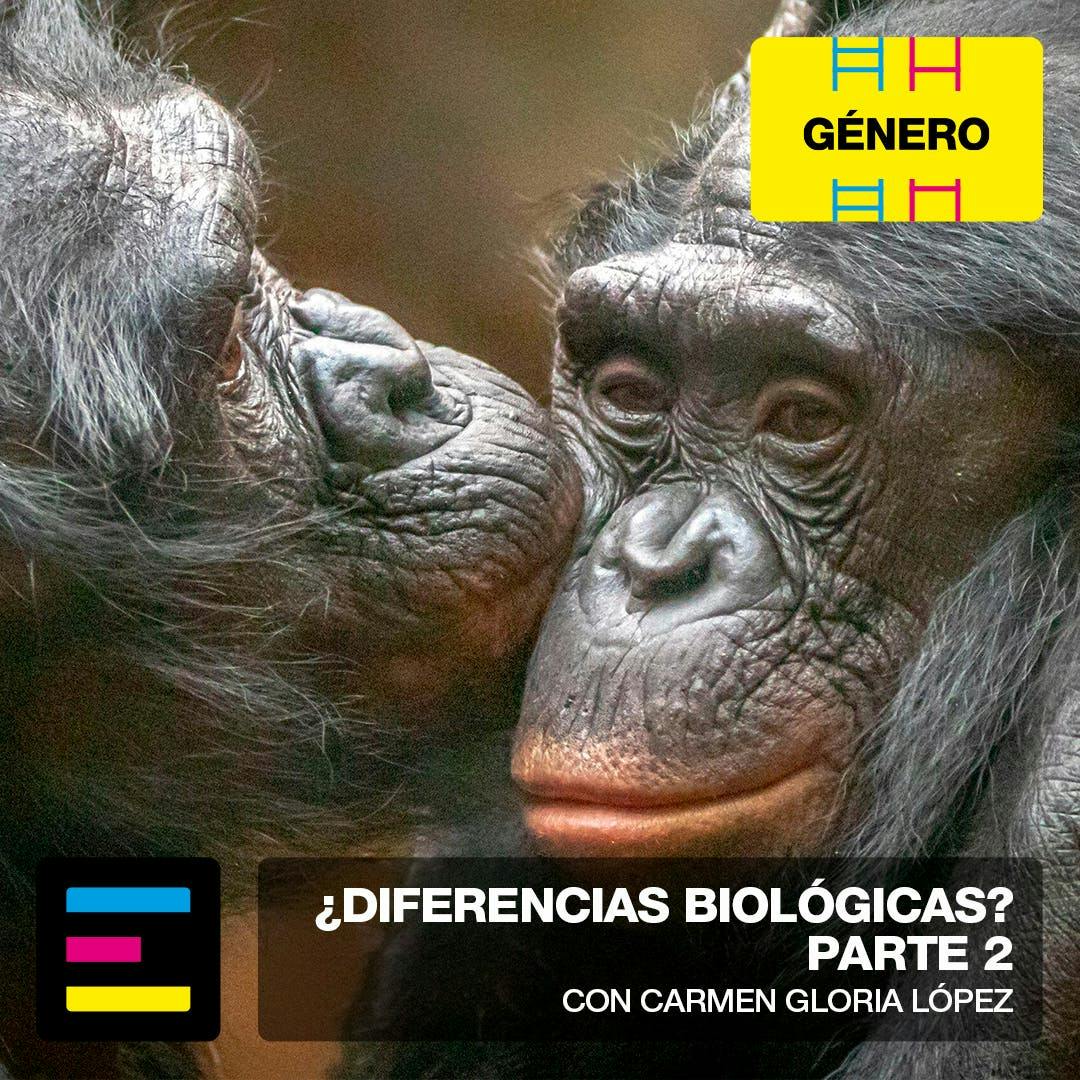 Género: ¿Diferencias Biológicas? Parte 2