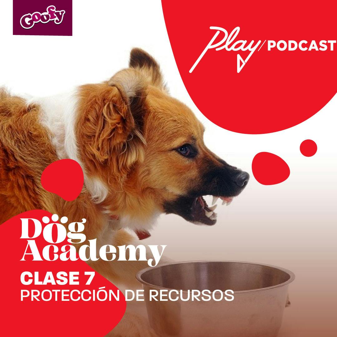 Clase 7: Protección de recursos