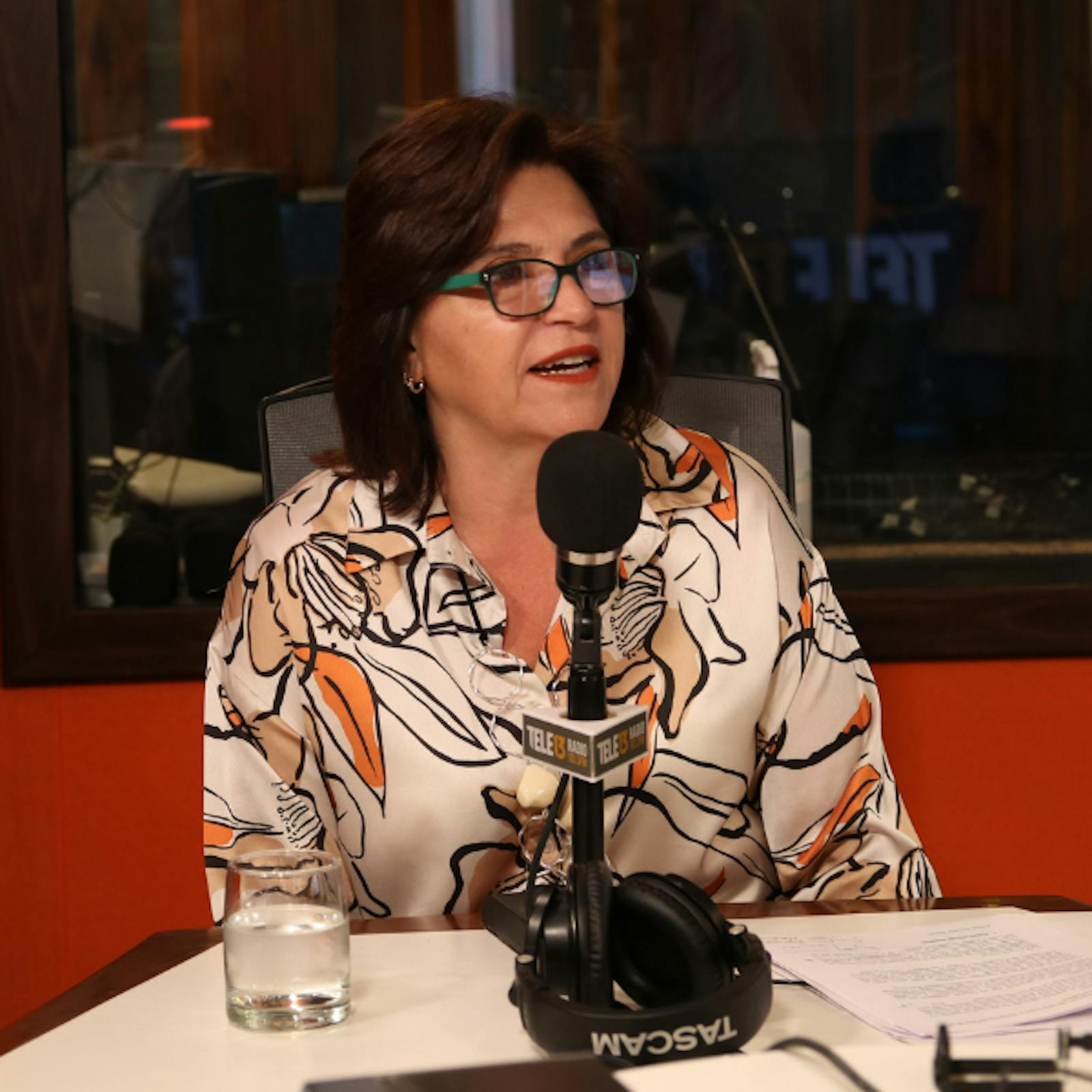Ministra Ana Lya Uriarte por proceso constituyente: “Vamos a embarcarnos en esta solicitud de entregar una mirada respecto del proceso y totalmente disponibles de conversar de las inquietudes episode artwork
