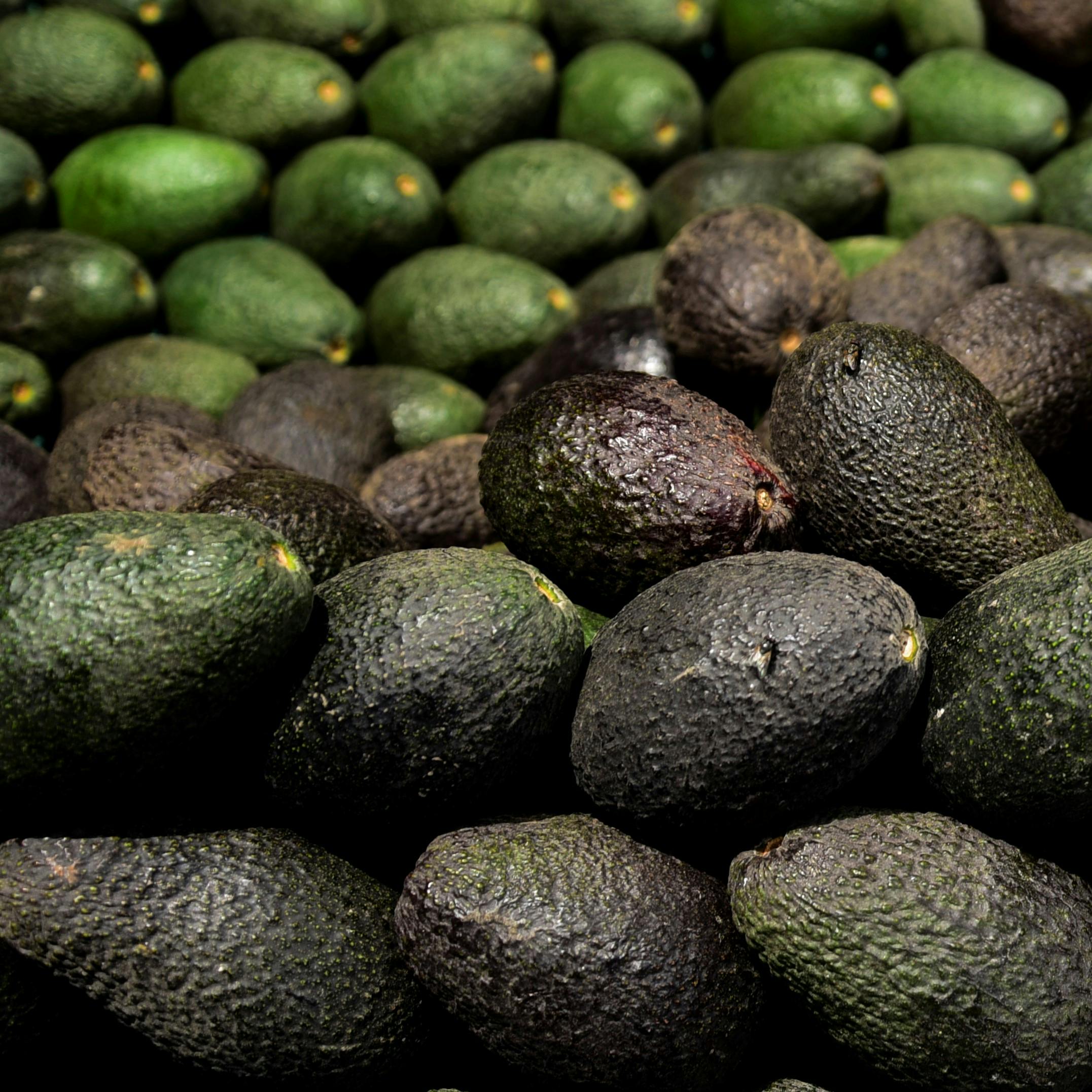 Una posible solución para el precio de la palta