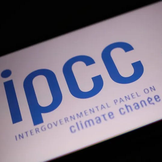 La nueva líder de Icare frente a una nueva versión de Enade