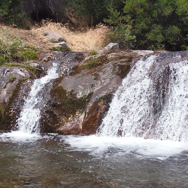 La Quebrada de Macul