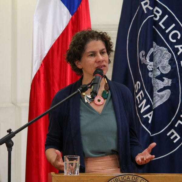 Ministra Rojas por la Semana Mundial de Adaptación al Cambio Climático: “Es insuficiente el nivel de adaptación que estamos realizando”
