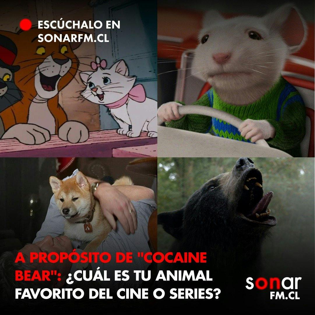Nuestros animales favoritos del cine y la televisión