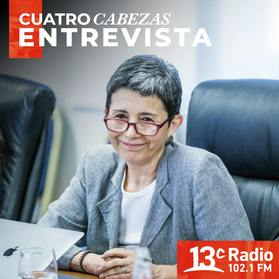 Entrevista | Rossana Dresdner, directora ejecutiva de Fundación Imagen de Chile
