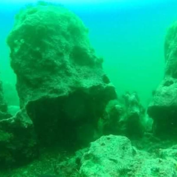 Investigadora U. de Chile por hallazgo de extrañas formaciones en el mar de Chiloé: “La gente busca saber qué son estas rocas, para conocer de mejor manera la formación de la isla”