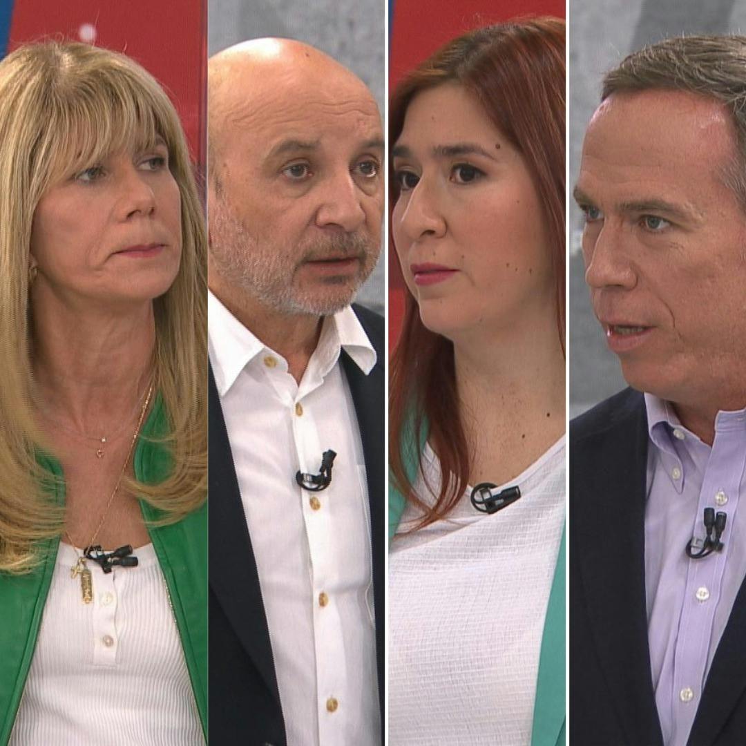 Castro, Pérez, Rincón y Alessandri por las diferencias en las coaliciones de Gobierno respecto a la Ley Naín-Retamal