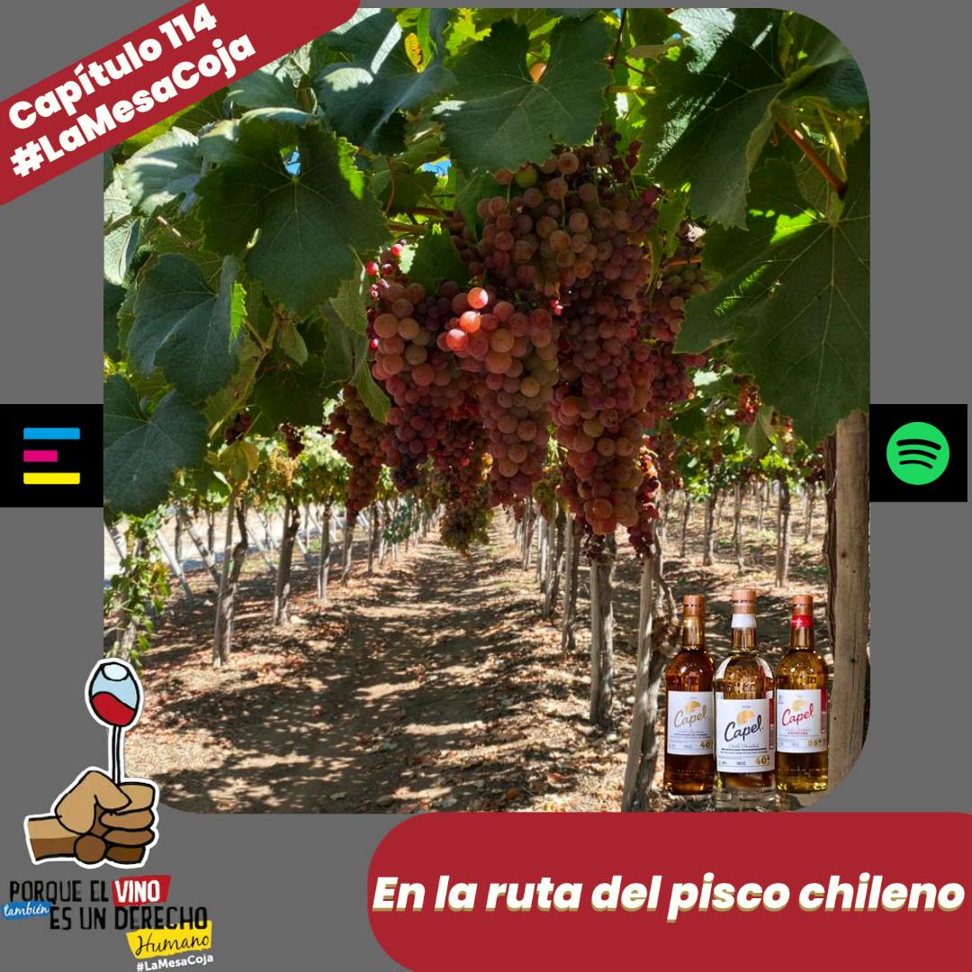 En la Ruta del Pisco Chileno