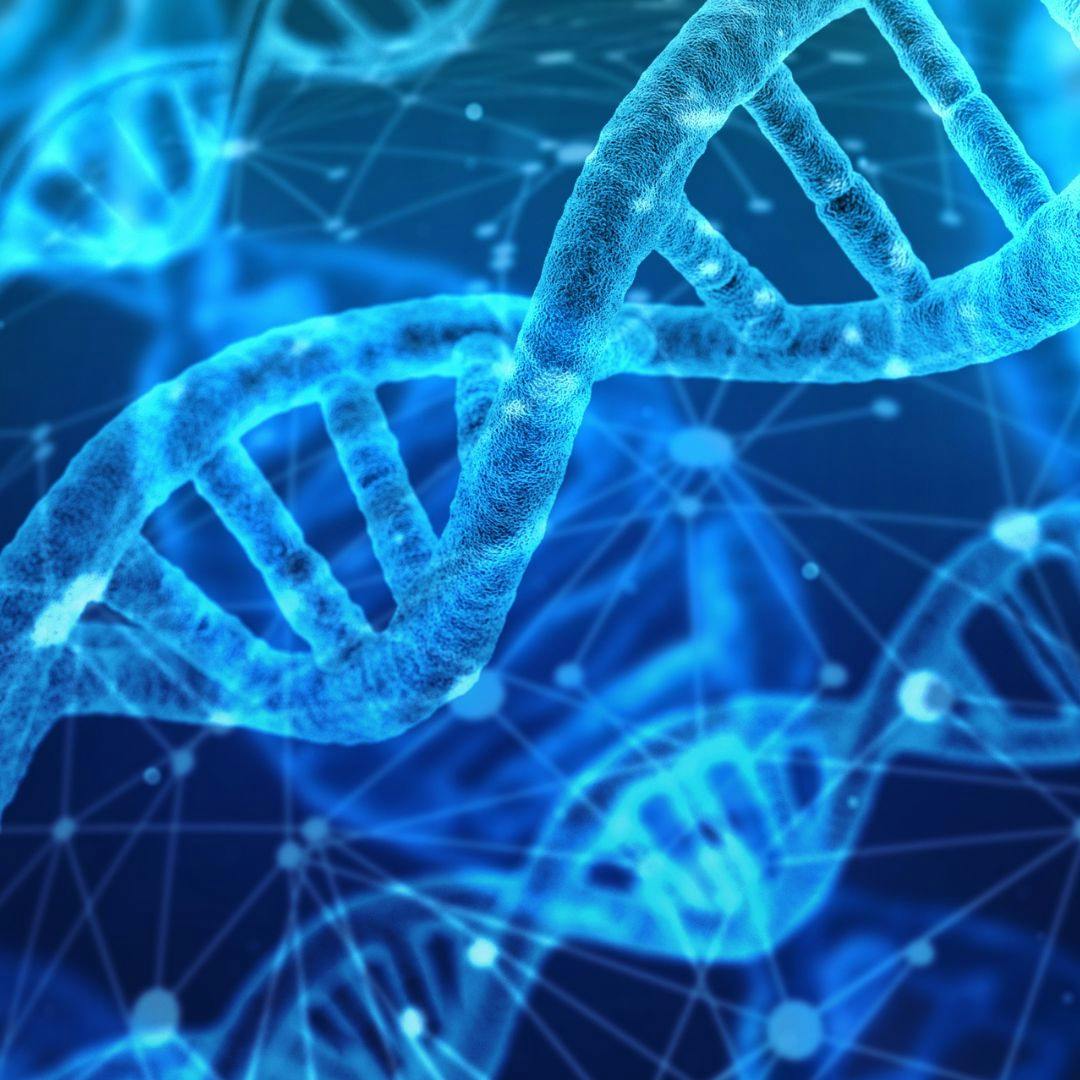 El nacimiento del primer niño con tres ADN diferentes