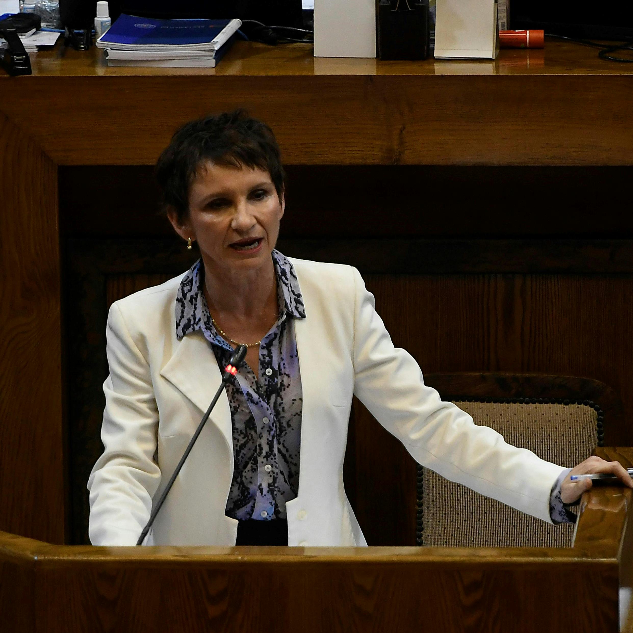 La interpelación a la ministra Tohá