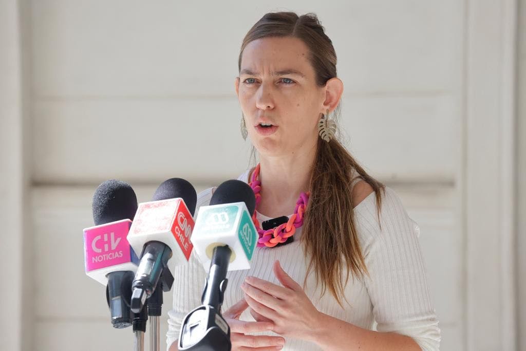 La comisionada experta Catalina Lagos se refiere al trabajo de la comisión. 