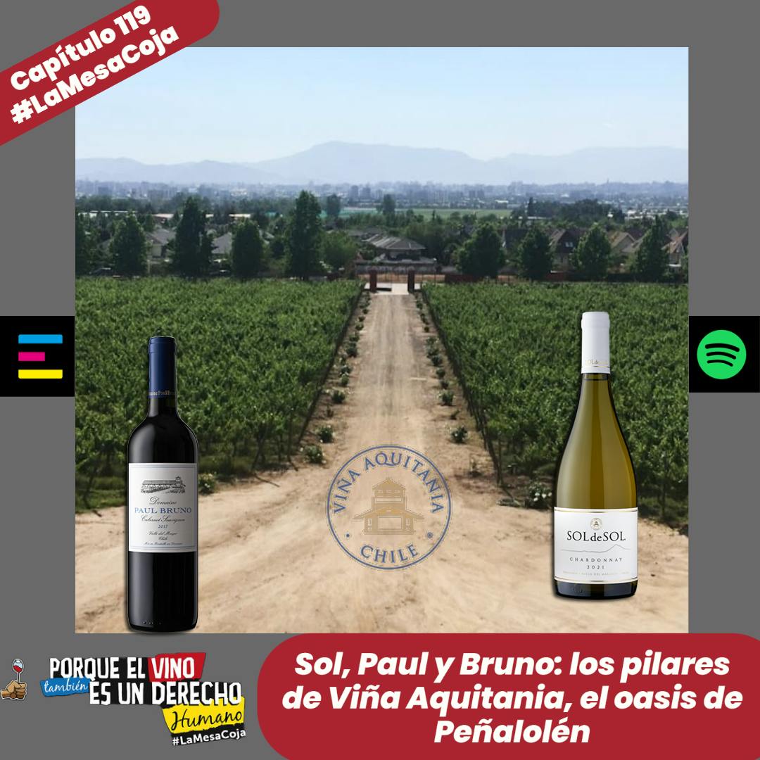 Sol, Paul y Bruno: los pilares de la viña Aquitania, el oasis de Peñalolén