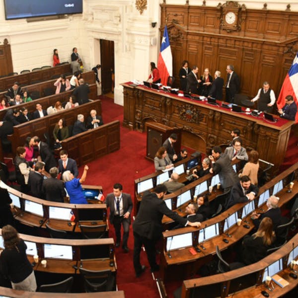 Helfmann y Viera Gallo por el funcionamiento del Consejo Constitucional